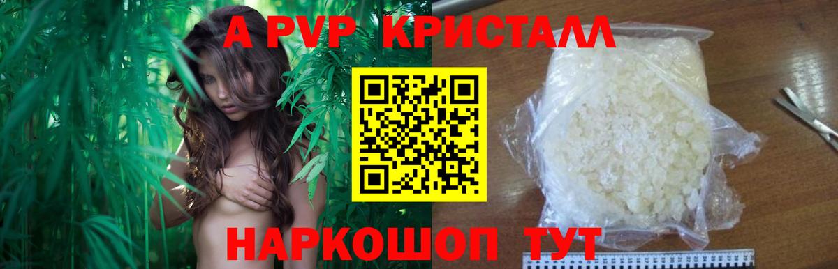 Альфа ПВП VHQ  A PVP СК КРИС  Котовск  A-PVP  Вход с VPN 