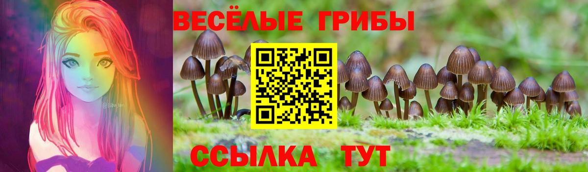 Псилоцибиновые грибы MAGIC MUSHROOMS  где купить наркотик  Котовск  Вход с VPN  Галлюциногенные грибы мицелий 
